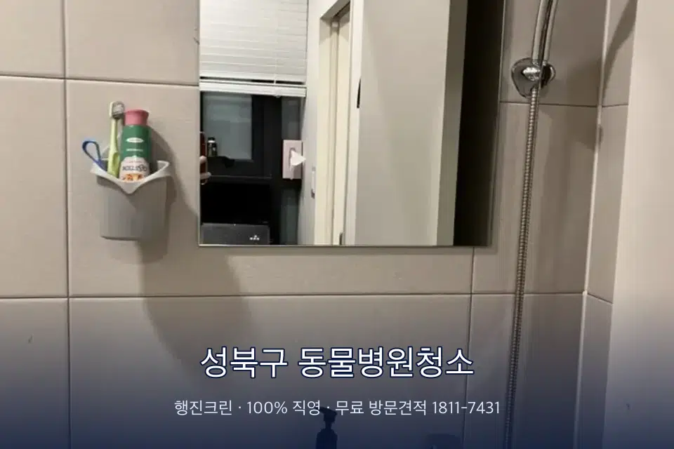 성북구 동물병원청소 병원 화장실 세면대 살균