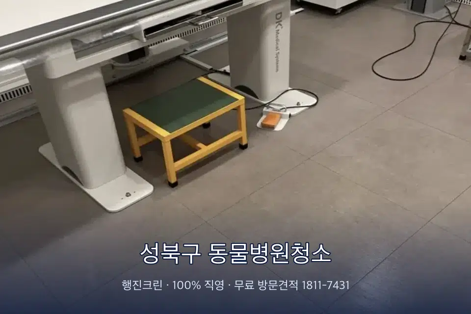 성북구 동물병원청소 영상의학실 바닥 물걸레 작업
